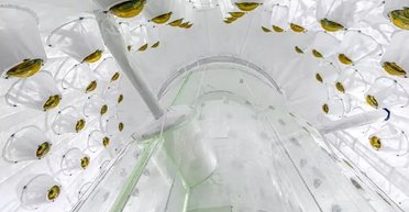 Експеримент розпочався. Учені "зарилися" під землю, щоб розкрити велику загадку Всесвіту (фото)