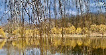 От морозов до +16: прогноз погоды на выходные 9-10 марта (видео, фото)