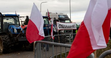 Аграрный бунт в Польше: какие требования у фермеров и чем снова не угодила Украина