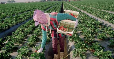 Кому поможет заграница. Как изменился зарубежный рынок труда для украинцев из-за пандемии COVID-19