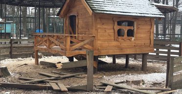 В Харькове вражеский БПЛА атаковал "Фельдман экопарк": погибли животные, есть разрушения (фото)