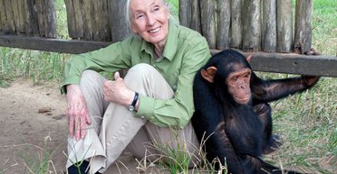 Умерла Джейн Гудолл, всемирно известный приматолог, изучавшая шимпанзе