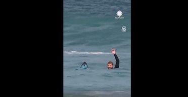 Пінгвін на серфі осідлав хвилю в Африці: як йому вдалося (відео)