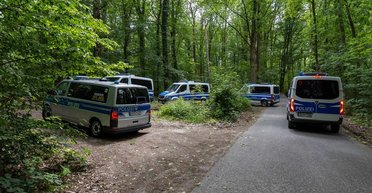 Слышали крики ребенка в лесу: стали известны новые подробности убийства 9-летней украинки в Германии