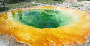 Туристи зіпсували знаменитий термальний басейн, кидаючи в нього монетки "на удачу" (відео)