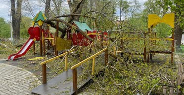 Ураган на Буковине: деревья упали на детскую площадку, пострадали двое детей