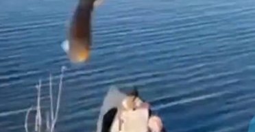 Суровые херсонские рыбаки рыбой попали в российский дрон, — соцсети (видео)