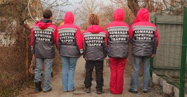 В ответе за всех. Как киевские активисты спасают попавших в беду животных