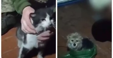 Пролетели 12 км: украинские воины эвакуировали дроном с передовой кота и собаку (видео)