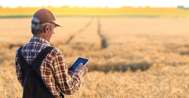 Математика полей. Как внедрение технологий помогает фермерам экономить