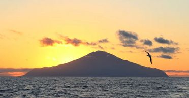 Посилки йдуть 6 місяців: жінка втекла на найвіддаленіший острів світу (фото)