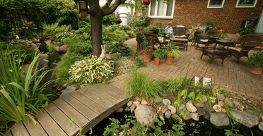 Жінка знайшла могилу біля свого будинку, а потім завдяки фотографіям розкрила правду