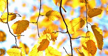 Сухо, тепло і сонячно: погода на вихідних 23-24 вересня (відео)