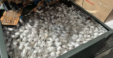 "Настоящий муравейник" в посылке: львовские таможенники обнаружили более 2500 муравьев, направлявшихся в Польшу (фото)