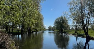 Пожежна небезпека та дощі: прогноз погоди в Україні на найближчі дні (карта)