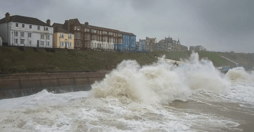"Було небезпечно": вівчарка вирішила врятувати овець від повені під час шторму "Бабет" (відео)