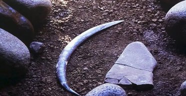 Знайдено найстаріший бумеранг у світі: вчені з'ясували, чи міг він повертатися (фото)