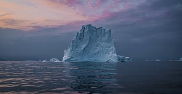 Подо льдами Гренландии обнаружены остатки растений, - ученые (фото)