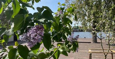 "Ймовірність заморозків": чим здивує погода в Україні 2 травня (карта)