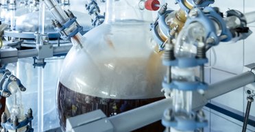 Черная плесень смогла переработать пластиковые отходы в съедобные ингредиенты