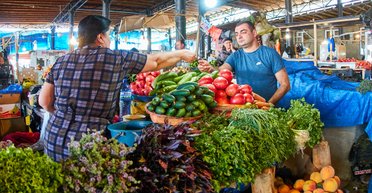 В Україні подорожчав популярний салатний овоч: як змінилася ціна з початку тижня