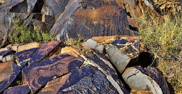 Впервые в истории Казахстана: археологи нашли редкую древнетюркскую монету (фото)