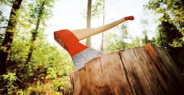 Лес рубят. Помог ли Украине мораторий на экспорт леса-кругляка