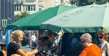 Цены на фрукты и ягоды бьют рекорды: будут ли дешеветь черешня, клубника и абрикосы