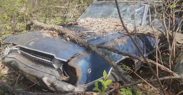 Семейная реликвия: сын обнаружил авто родителей в лесу через 40 лет после продажи (видео)