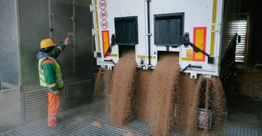 Железная дорога и Дунай: Африка получит дорогое украинское зерно из Европы, - аналитики