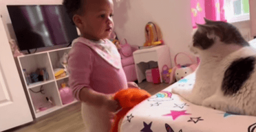 Заговорила раньше, чем на человеческом: девочка удивила способностью общаться на "кошачьем языке"