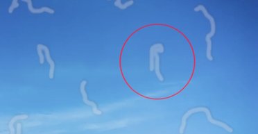 "Мушки" перед глазами: что за пятна, похожие на червячков, мы порой видим перед собой (видео)