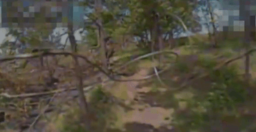 Прикинувся деревом: на Харківщині 3-тя ОШБр "рознесла" замаскованих солдатів ЗС РФ (фото)