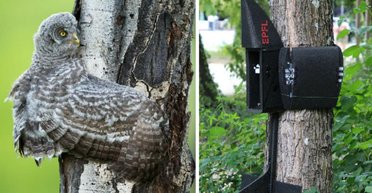 Создан дрон PercHug с обнимающим крылом: сможет сесть на любую вертикальную поверхность