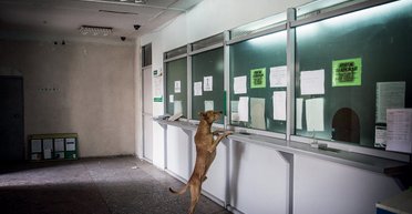 Вклад как клад. Кто и почему хранит деньги в украинских банках