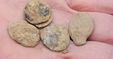 Монеты с уникальным дизайном: в Иорданской долине раскопали клад царя Александра (фото)