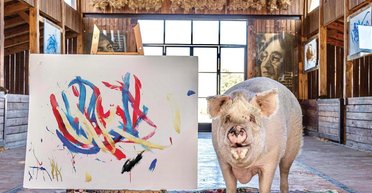 Картины свиньи Пигкассо продали за более 1,2 млн долларов (фото)