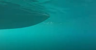 Женщина уронила GoPro камеру на дно океана: увиденное на видео напугало людей (видео)