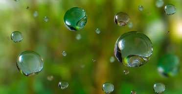 Почему у дождя есть свой запах, и как он связан с антибиотиками: ученые дали ответ