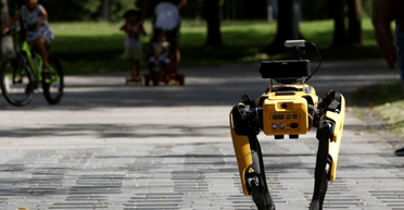 Домашний робот "сбежал" от своих хозяев после землетрясения (видео)