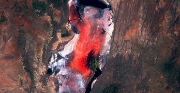 Застиглі назавжди: тварини муміфікуються в смертоносному озері в Африці (фото)