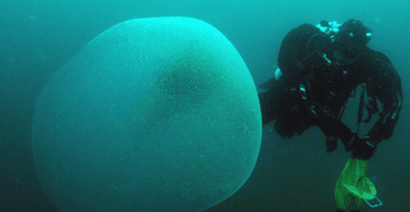 Исследователи раскрыли тайну загадочных подводных пузырей (видео)