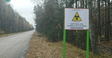 В Чернобыльской зоне отчуждения сдавали в аренду землю для выращивания зерна (видео)