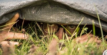 В Японії відбудеться масштабна гра в хованки на безлюдному острові: для чого це потрібно