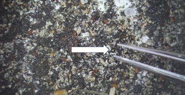 Упав у 2014 році. З'ясувалося, що уламки міжзоряного об'єкта на 790 000 років старші (фото)