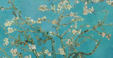 Зоя и ее пациенты. О чем говорят люди, которые оказались в хосписе