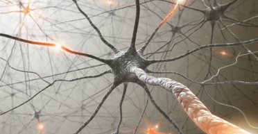 Особые потребности. Как выжить инвалиду в Украине ограниченных возможностей