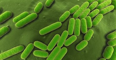 На глибині 1250 метрів під землею ховається "таблетка" від кліматичної кризи: що це таке