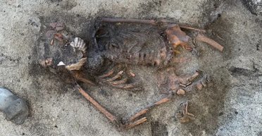 В Норвегии нашли могилу женщины-викинга: ее похоронили с морским гребешком во рту