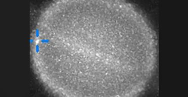 У Сатурн врізався невідомий об'єкт: астроном-любитель побачив спалах на планеті